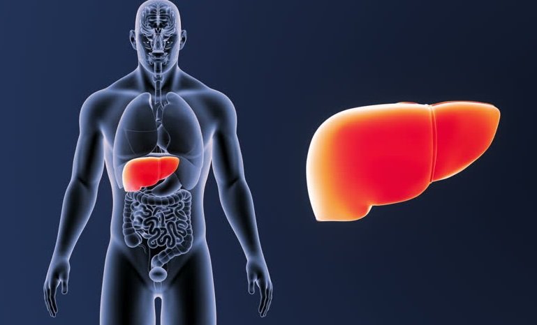 Hepatologist in Gurgaon