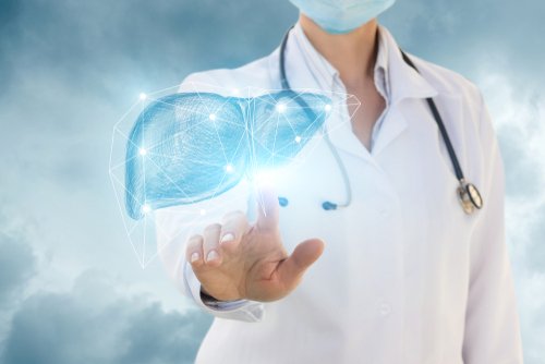 Understaniing liver tramsplant