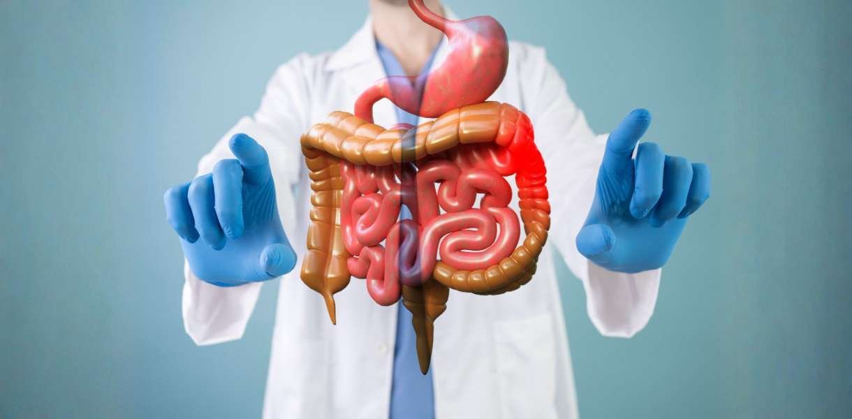 Gastroenterology
