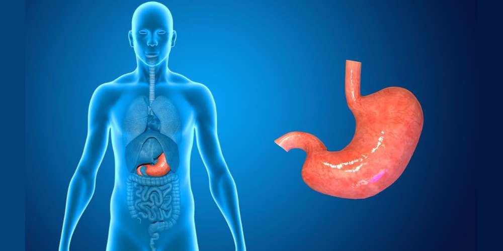 Stomach flu treatment in Gurgaon